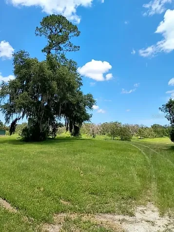 No Street De Leon Springs FL 32130