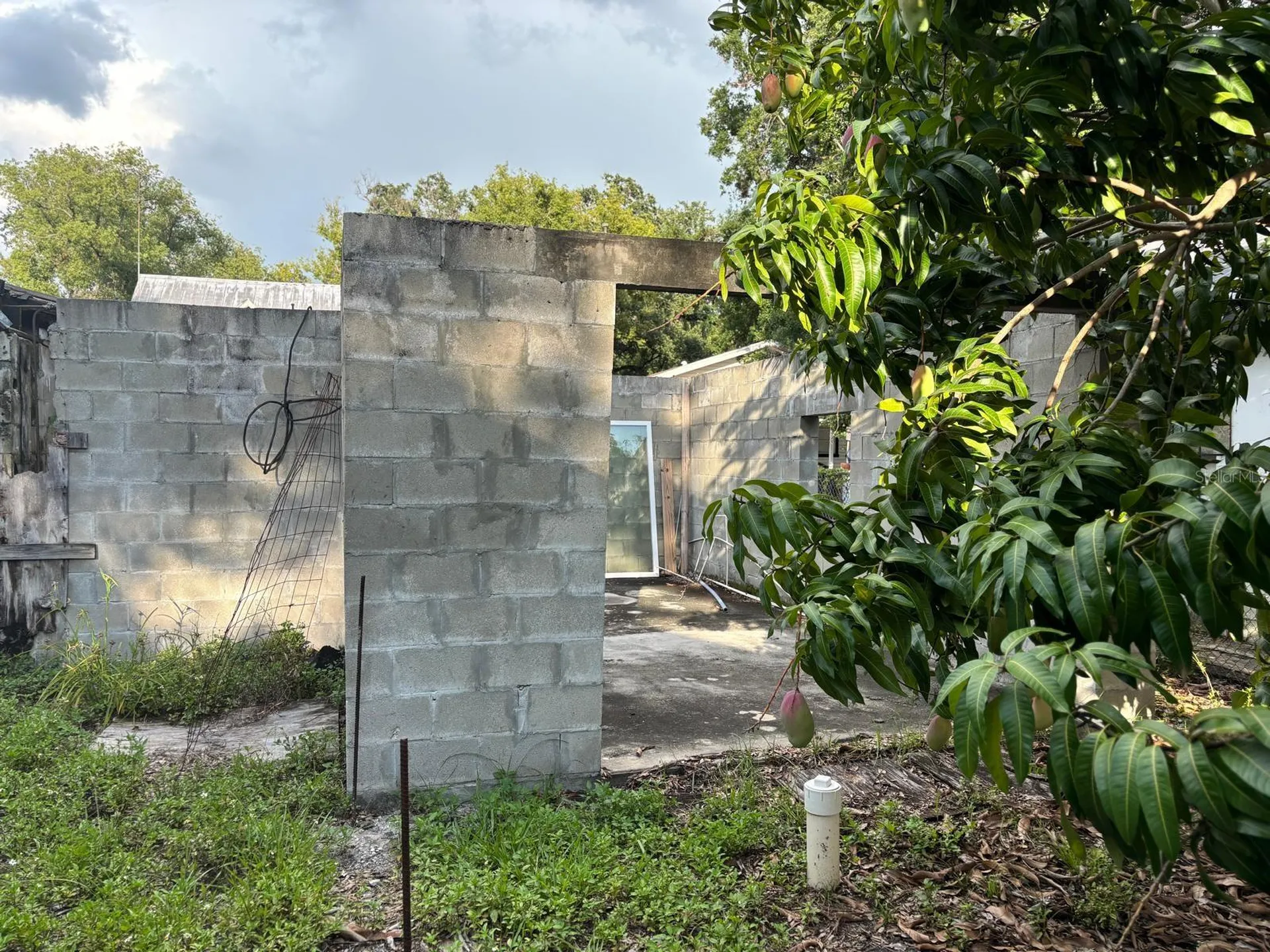 2909 N 11th Street Tampa FL 33605