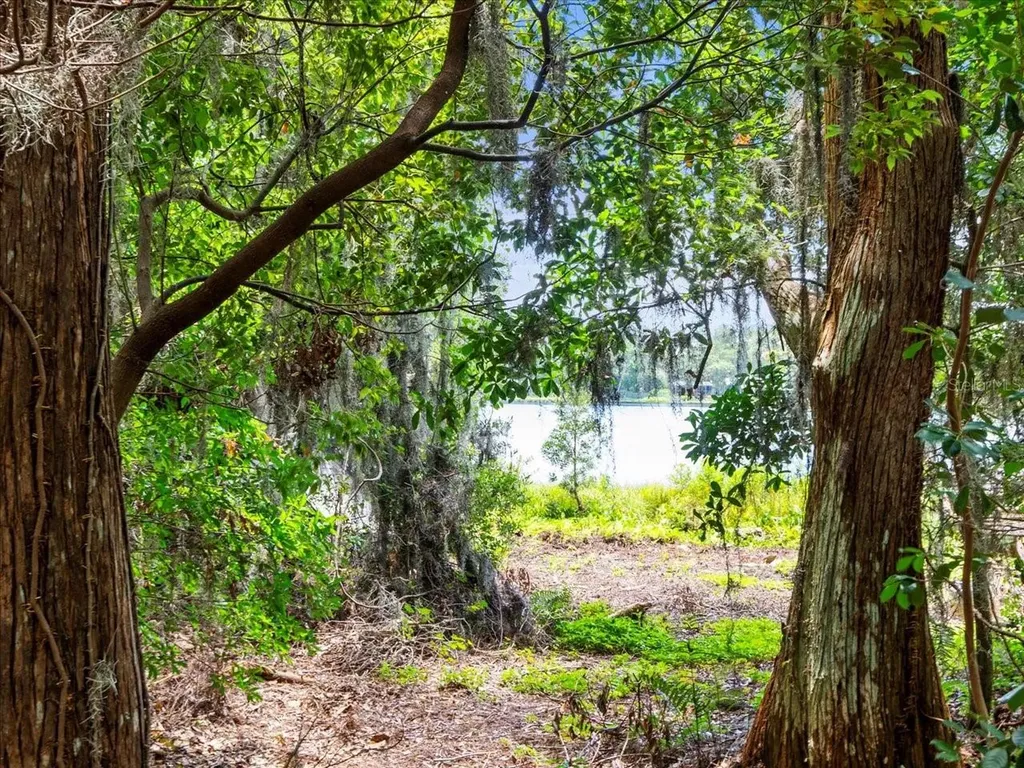 16035 Chastain Road Odessa FL 33556