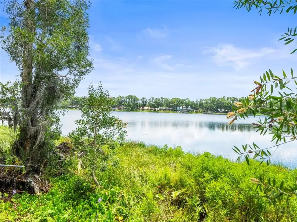 16035 Chastain Road Odessa FL 33556
