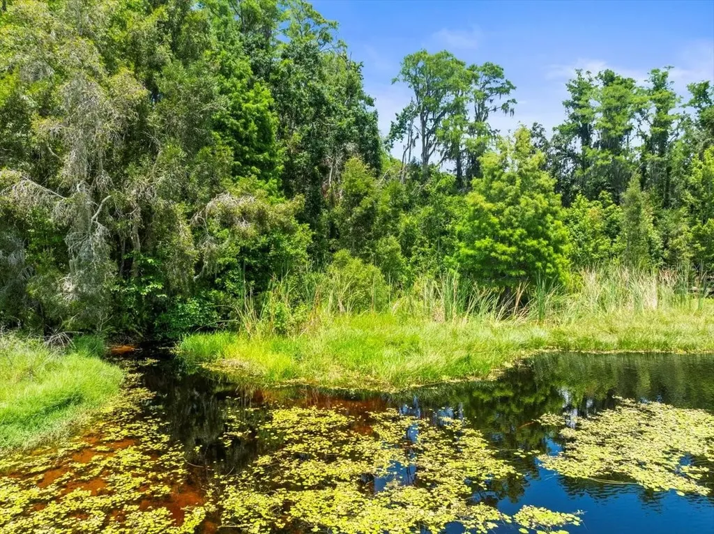 16035 Chastain Road Odessa FL 33556