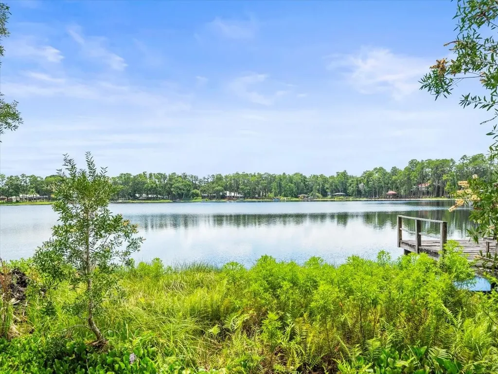 16035 Chastain Road Odessa FL 33556