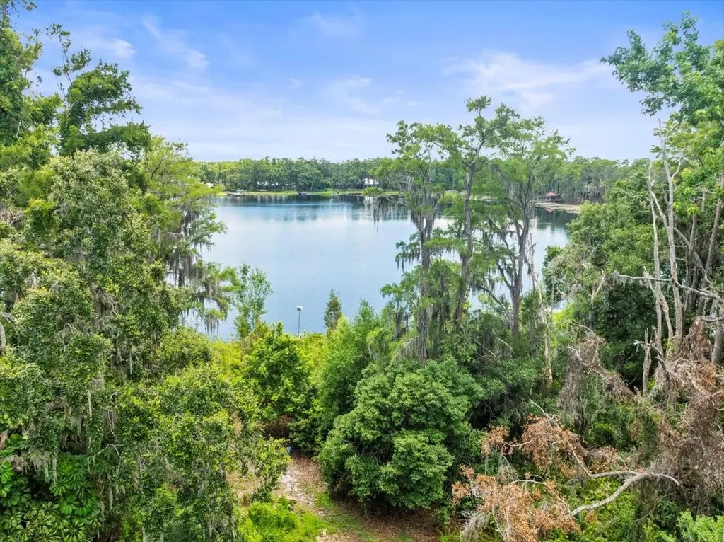 16035 Chastain Road Odessa FL 33556