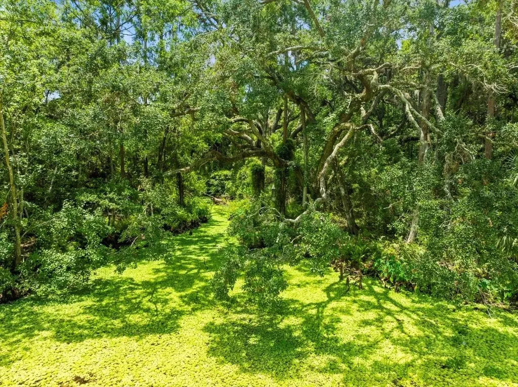 16035 Chastain Road Odessa FL 33556