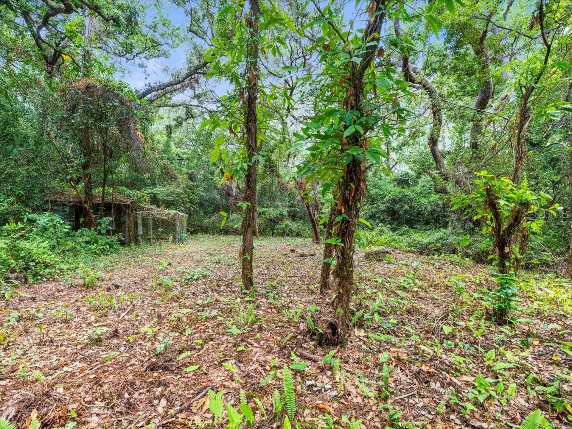 16035 Chastain Road Odessa FL 33556