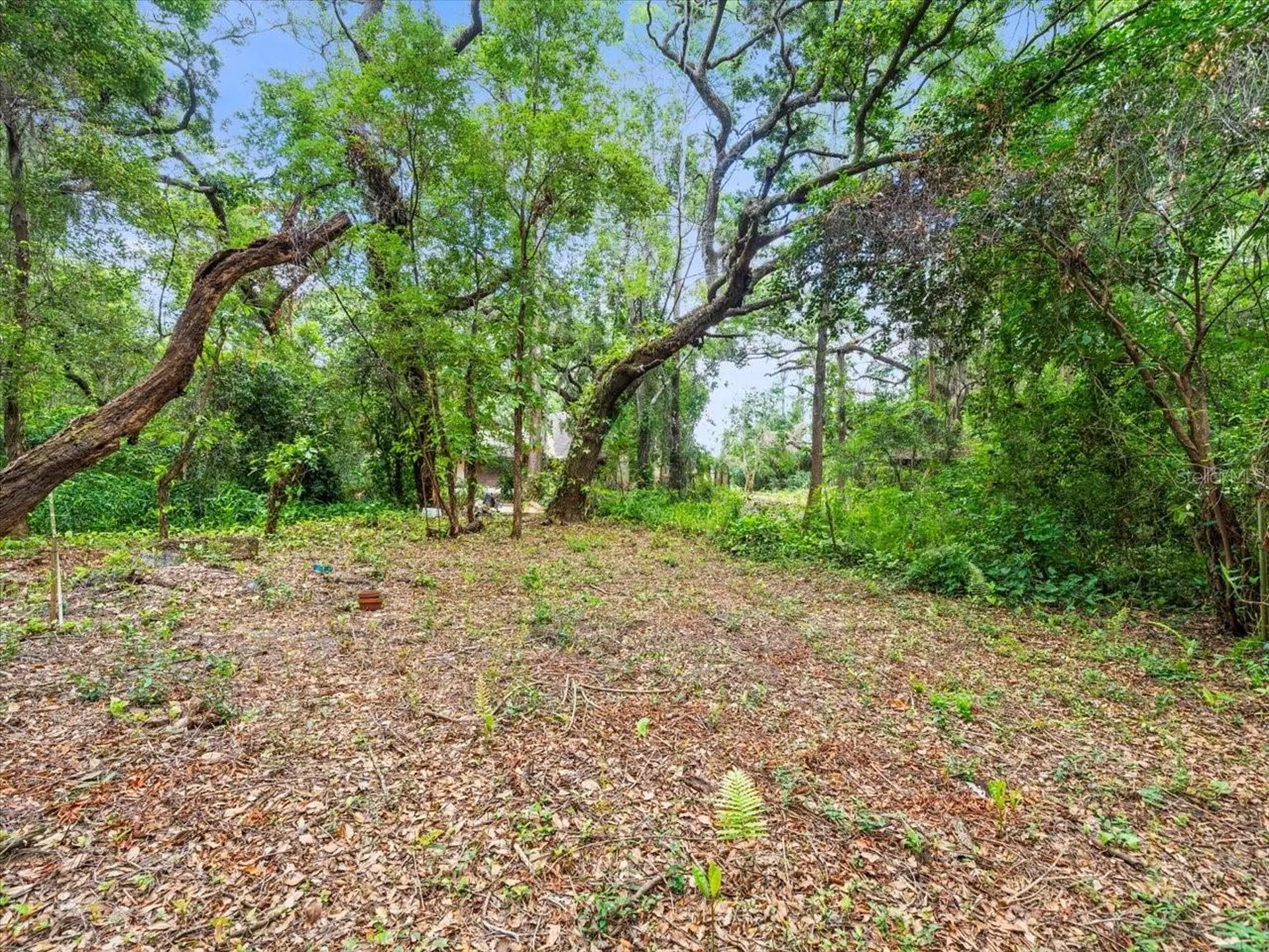 16035 Chastain Road Odessa FL 33556