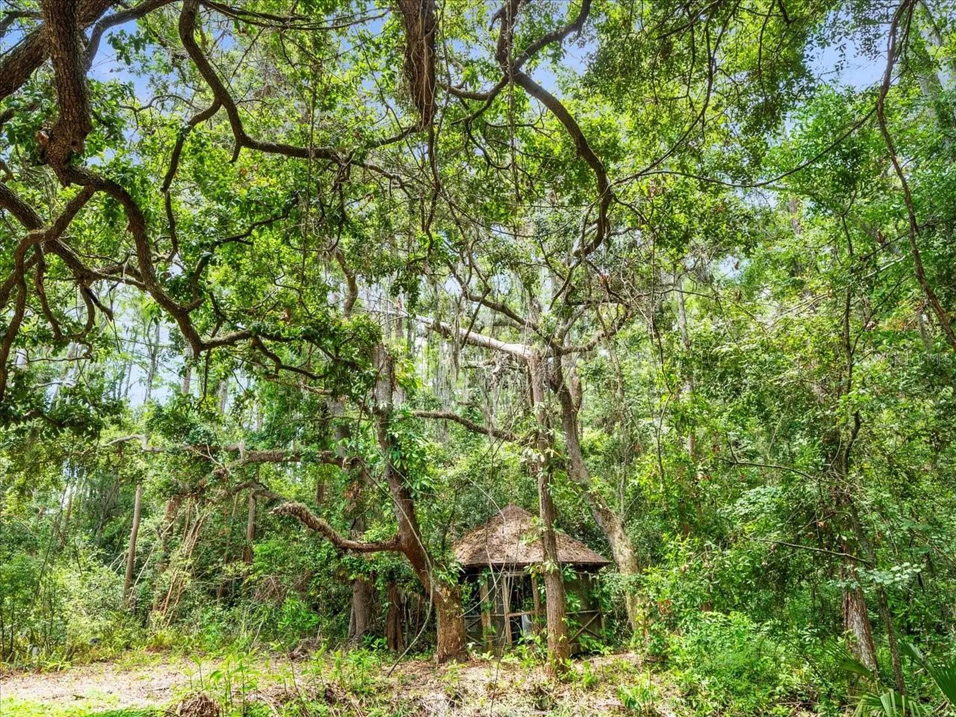 16035 Chastain Road Odessa FL 33556