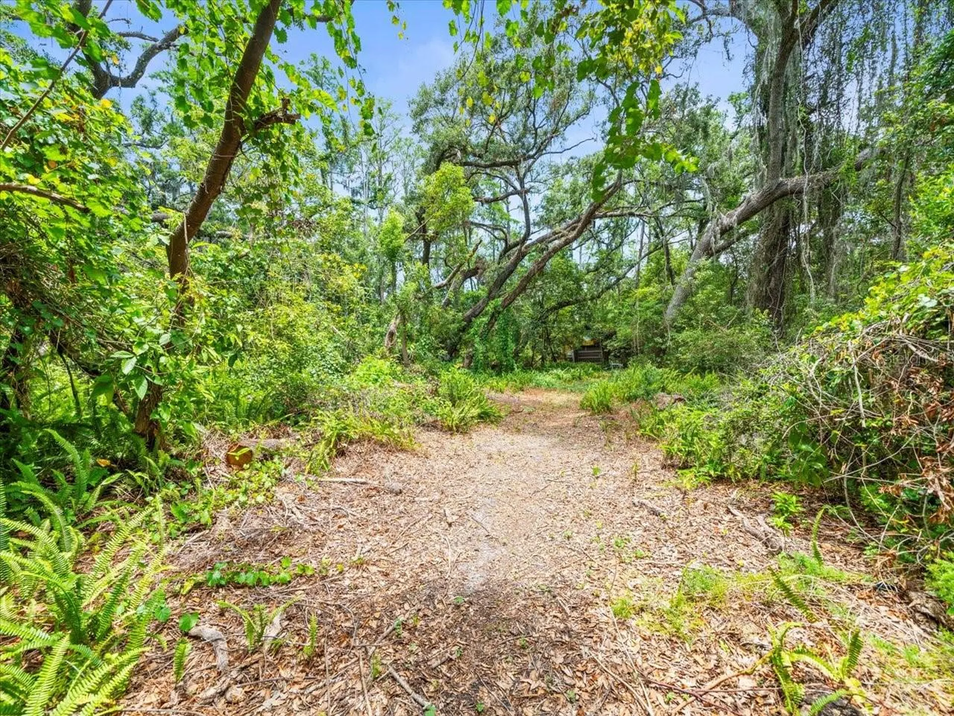 16035 Chastain Road Odessa FL 33556