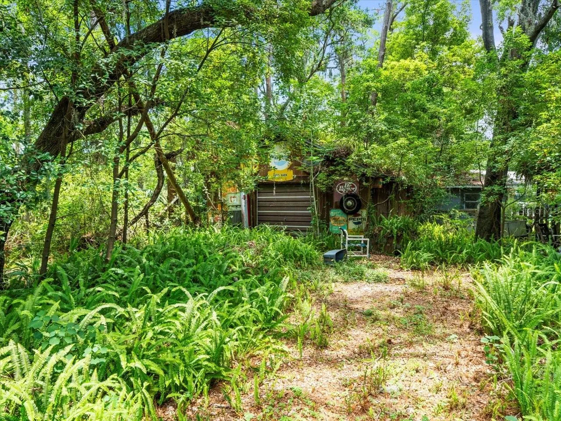 16035 Chastain Road Odessa FL 33556
