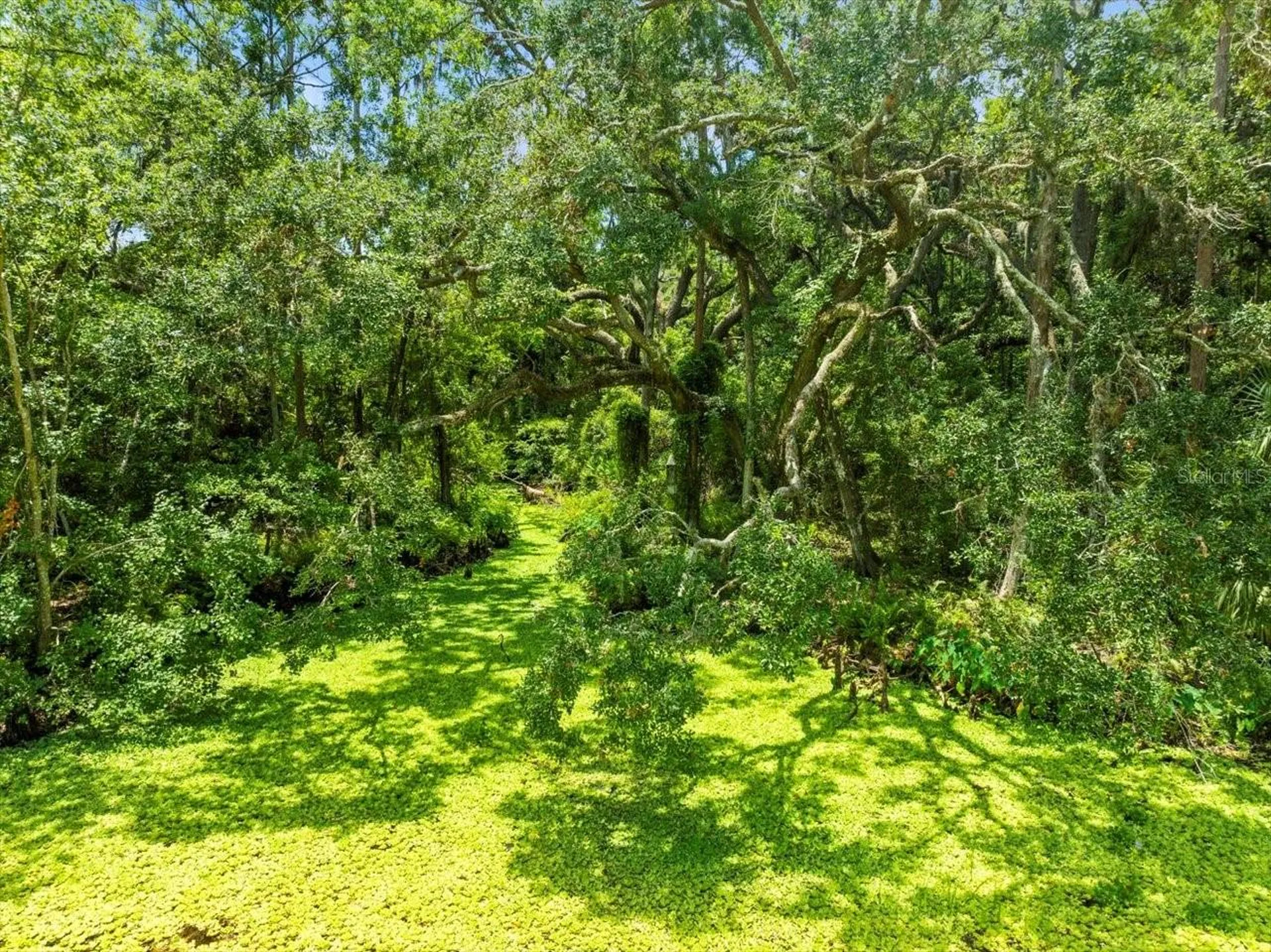 16035 Chastain Road Odessa FL 33556