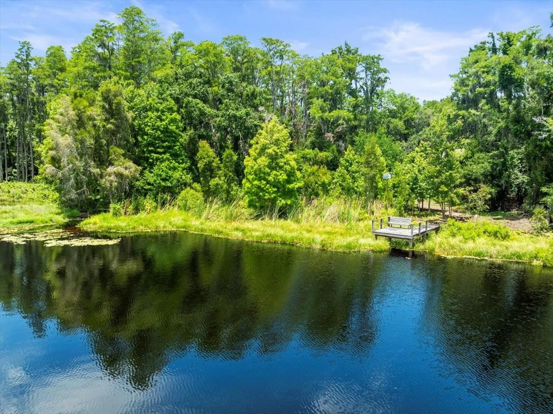 16035 Chastain Road Odessa FL 33556