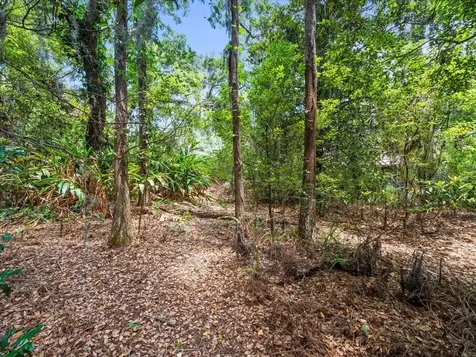 16035 Chastain Road Odessa FL 33556