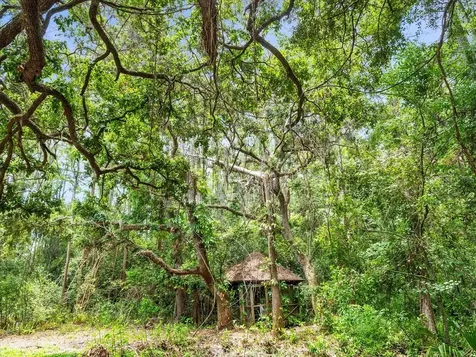 16035 Chastain Road Odessa FL 33556