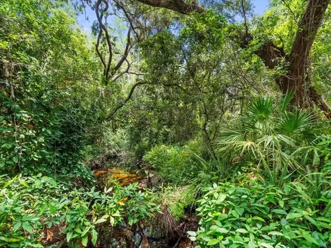 16035 Chastain Road Odessa FL 33556