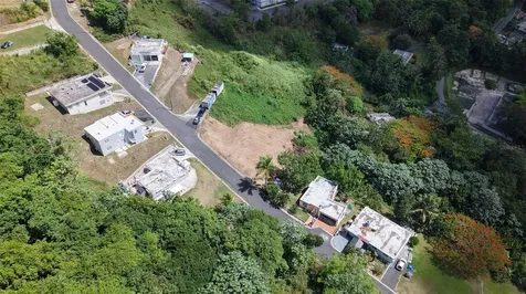 164 Street Km 4.4 Bo. Nuevo Naranjito PR 00719