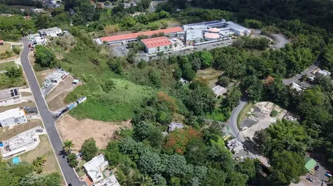 164 St. Km 4.4 Bo. Nuevo Naranjito PR 00719