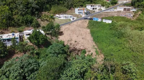 164 Street Km 4.4 Bo. Nuevo Naranjito PR 00719