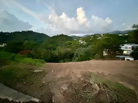 164 St. Km 4.4 Bo. Nuevo Naranjito PR 00719