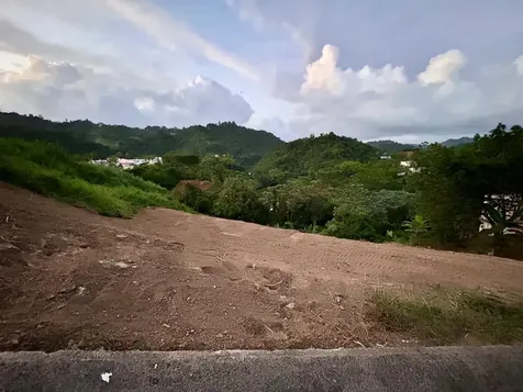164 Street Km 4.4 Bo. Nuevo Naranjito PR 00719