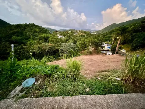 164 Street Km 4.4 Bo. Nuevo Naranjito PR 00719