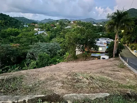 164 Street Km 4.4 Bo. Nuevo Naranjito PR 00719