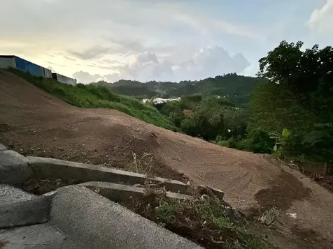 164 Street Km 4.4 Bo. Nuevo Naranjito PR 00719