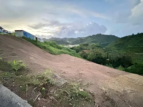 164 St. Km 4.4 Bo. Nuevo Naranjito PR 00719