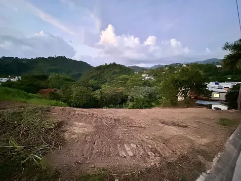 164 Street Km 4.4 Bo. Nuevo Naranjito PR 00719