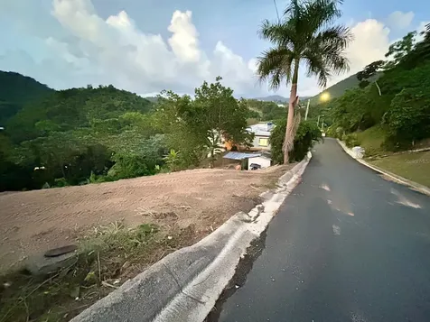 164 Street Km 4.4 Bo. Nuevo Naranjito PR 00719