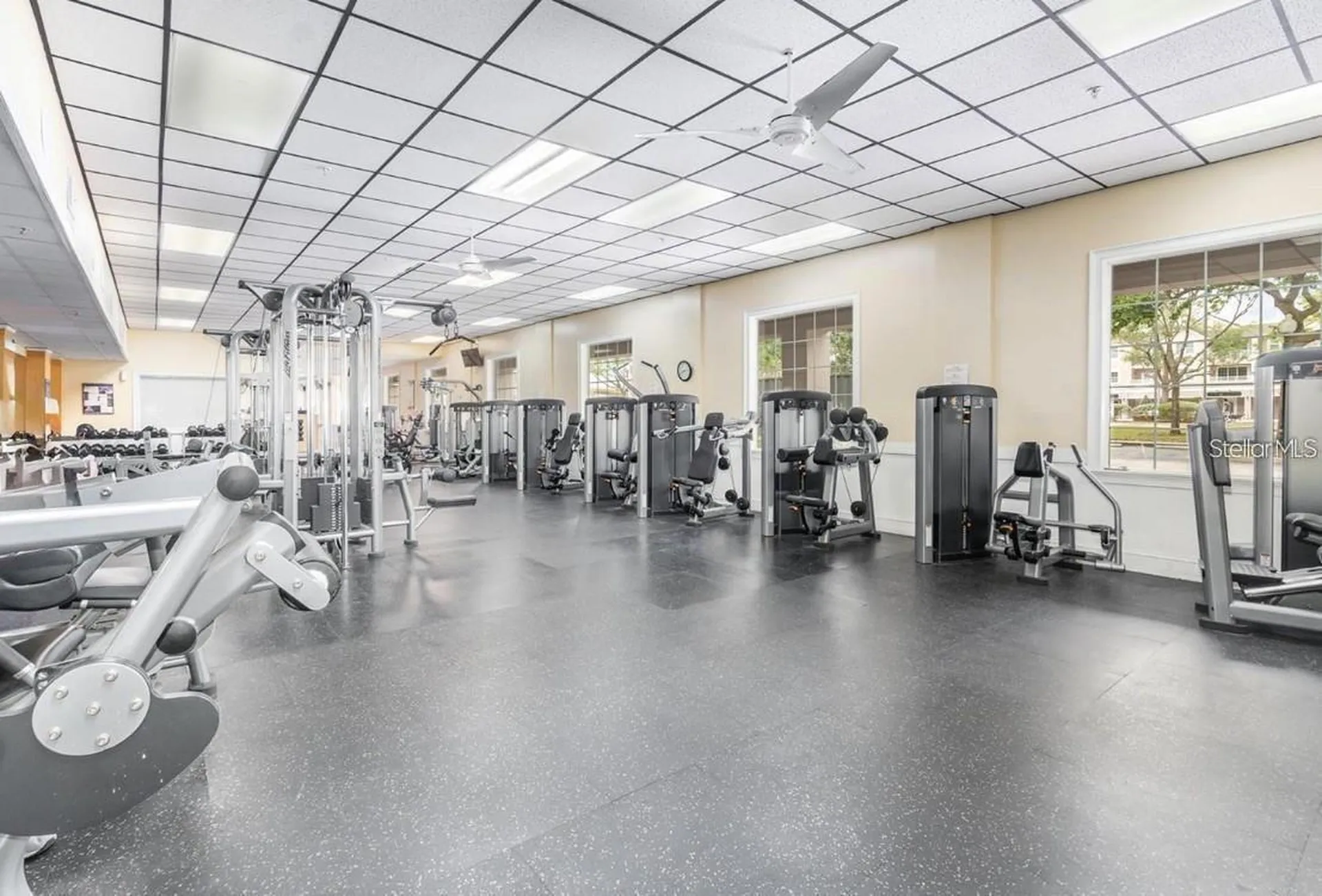 3446 Soho Street Orlando FL 32835