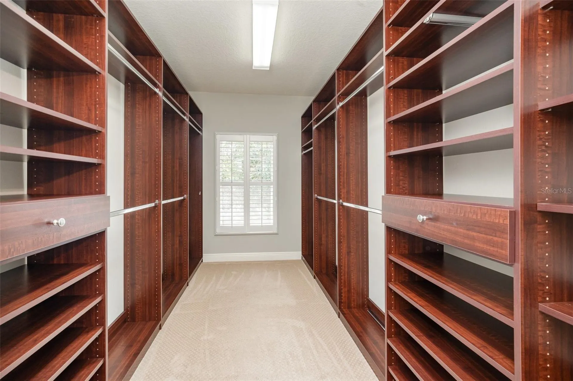 6207 Bleeker Street Riverview FL 33578