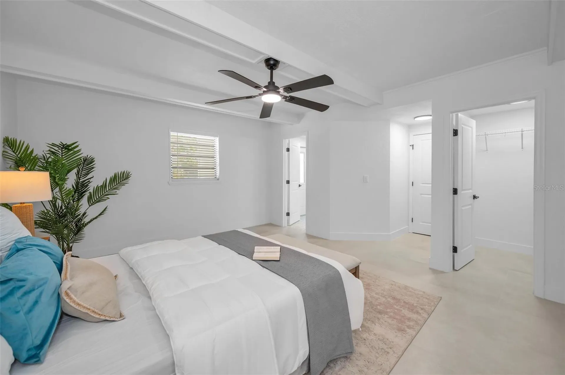 112 Peterson Lane Palm Harbor FL 34683