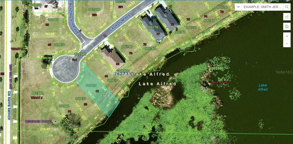 116 N Caladium Avenue Lake Alfred FL 33850