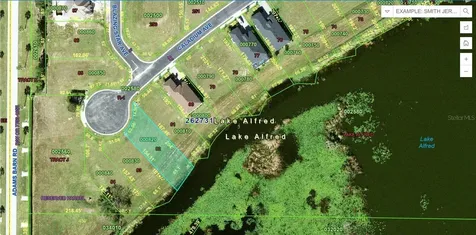 116 N Caladium Avenue Lake Alfred FL 33850