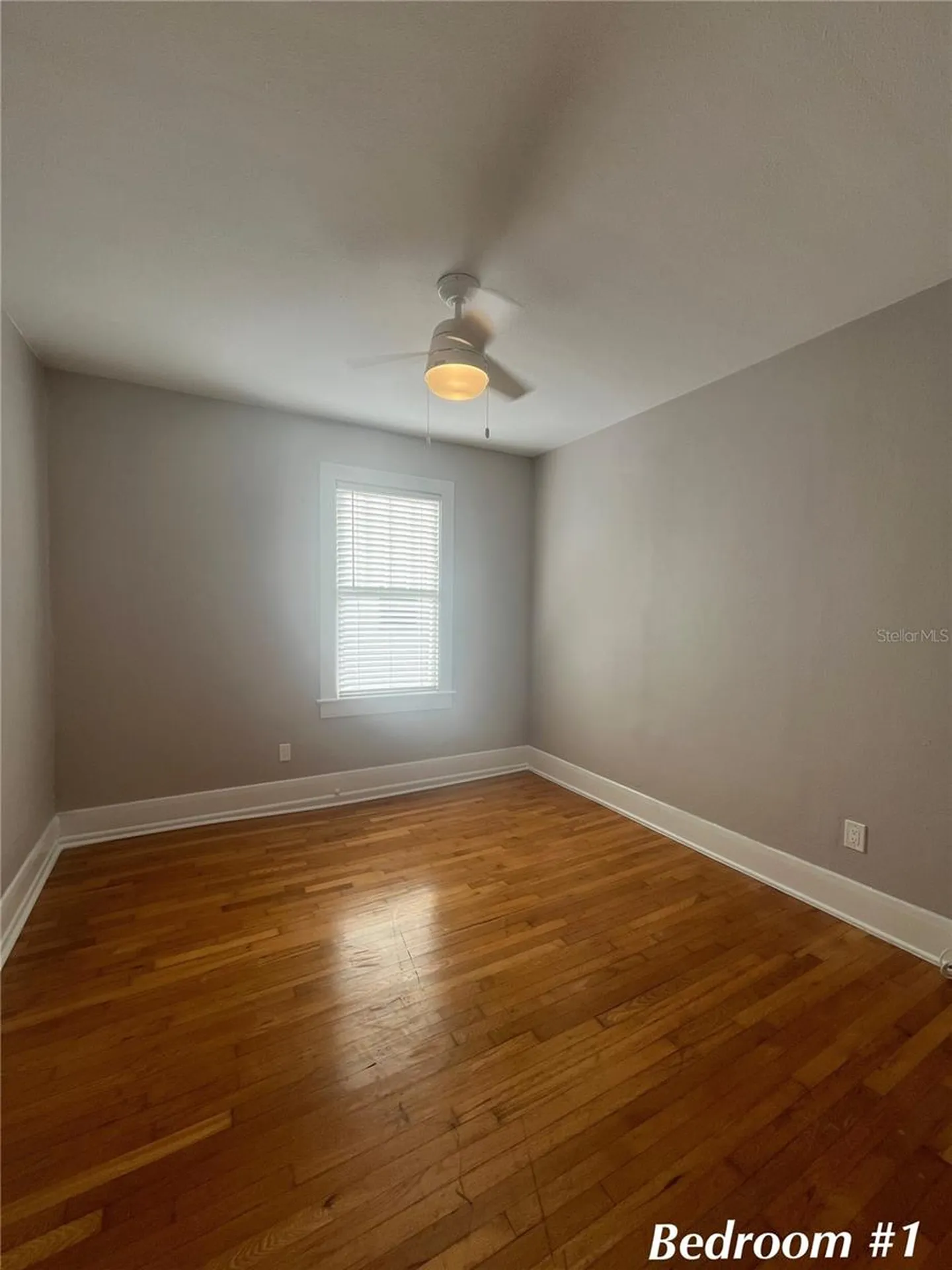 3303 W Empedrado Street Tampa FL 33629