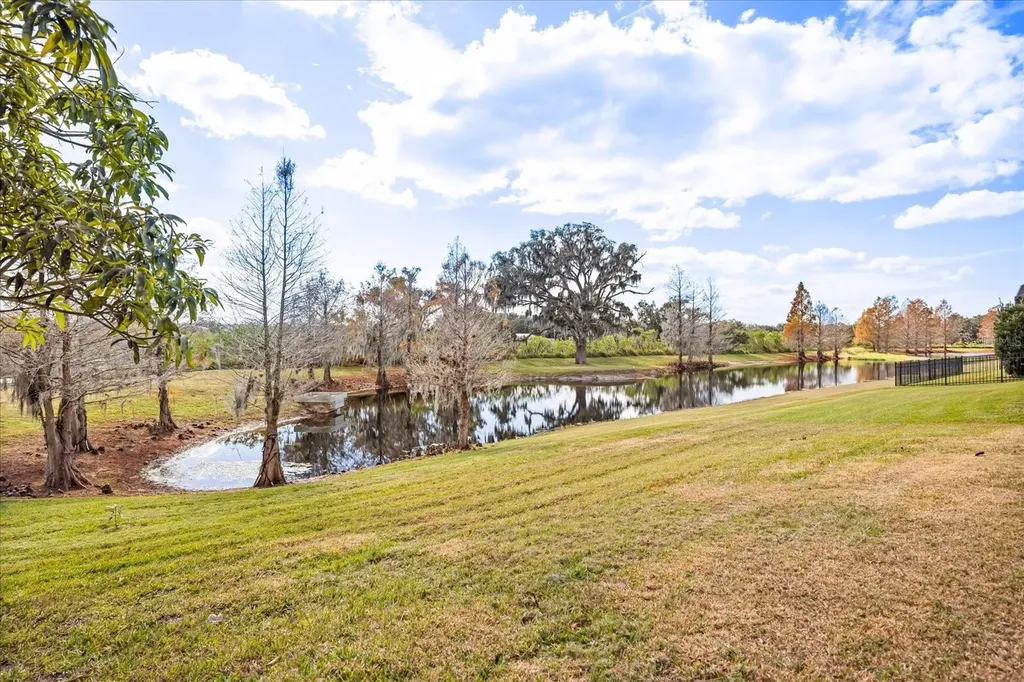 813 Marsh Reed Drive Winter Garden FL 34787
