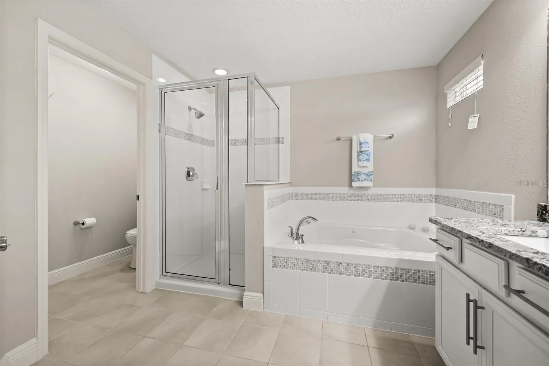 813 Marsh Reed Drive Winter Garden FL 34787