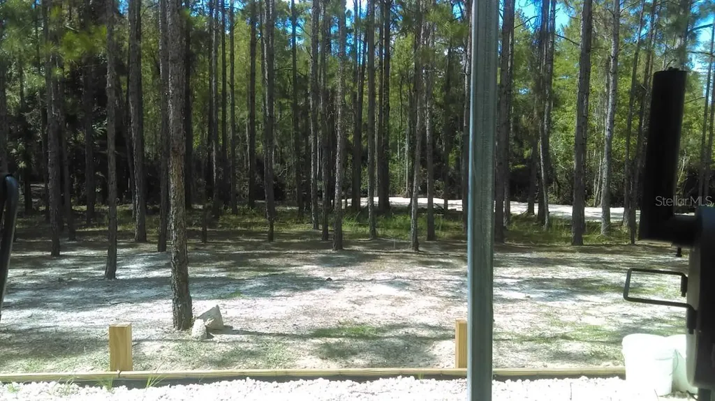 540 SW 326th Avenue Steinhatchee FL 32359