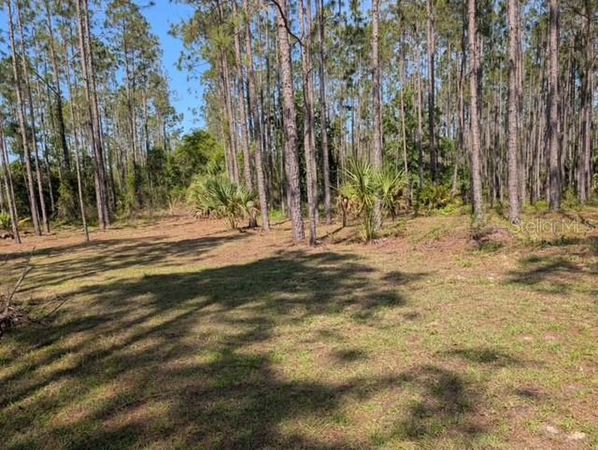 540 SW 326th Avenue Steinhatchee FL 32359