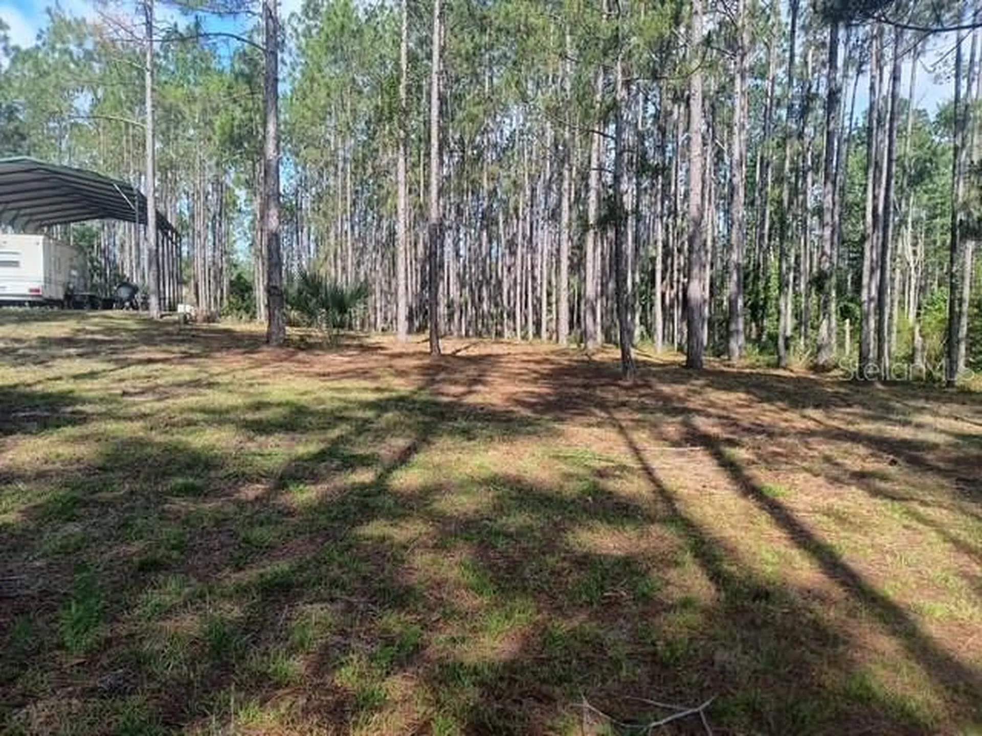 540 SW 326th Avenue Steinhatchee FL 32359