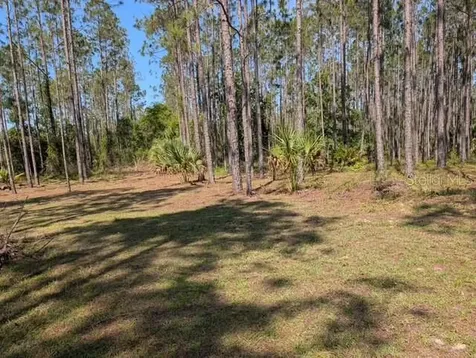 540 SW 326th Avenue Steinhatchee FL 32359