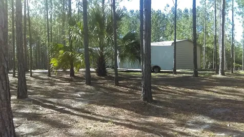 540 SW 326th Avenue Steinhatchee FL 32359