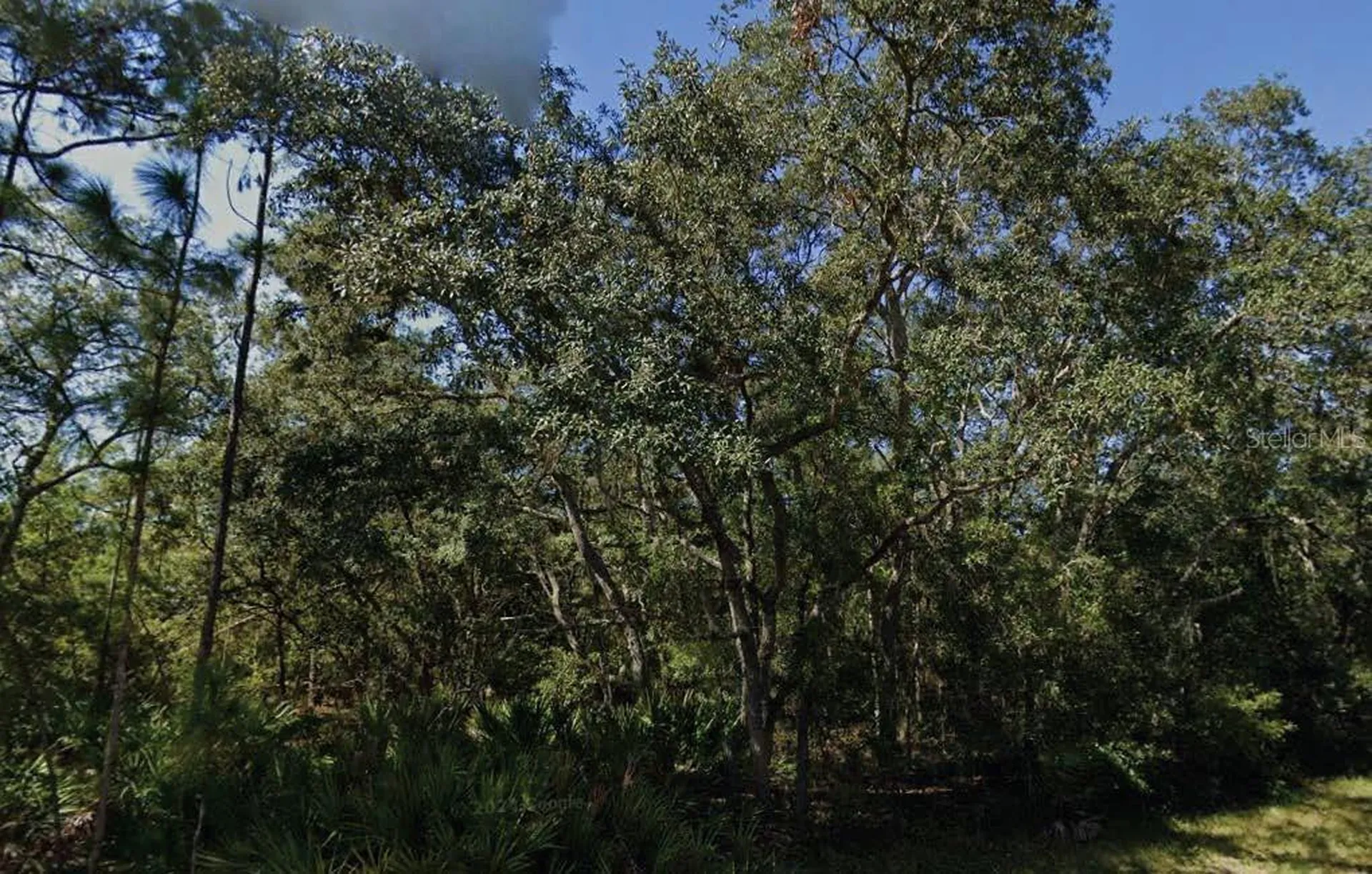 Theresa Avenue Interlachen FL 32148
