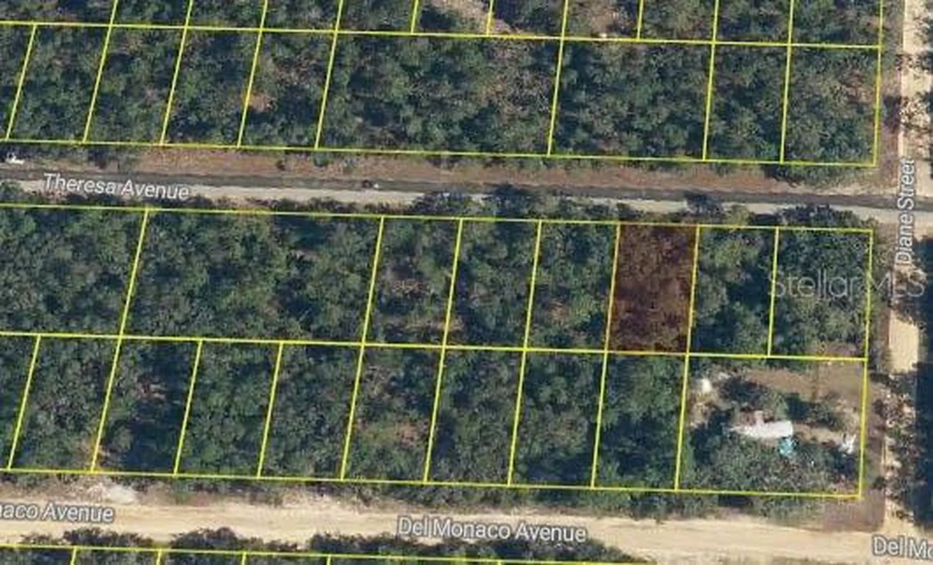 Theresa Avenue Interlachen FL 32148