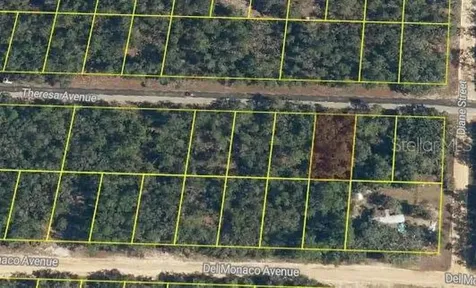 Theresa Avenue Interlachen FL 32148