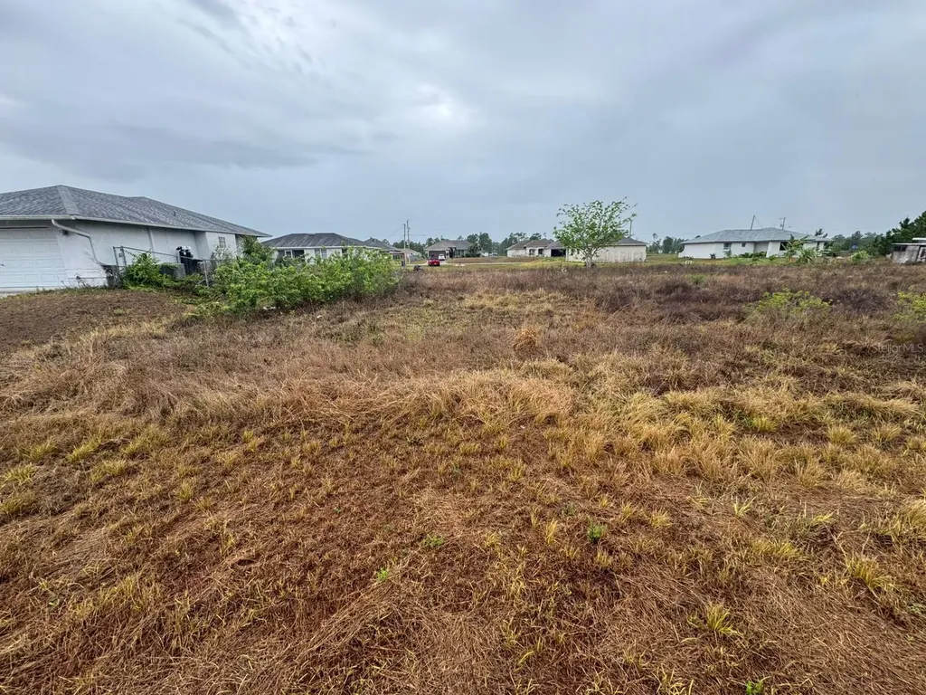 1142 Ecrue Street E Lehigh Acres FL 33974