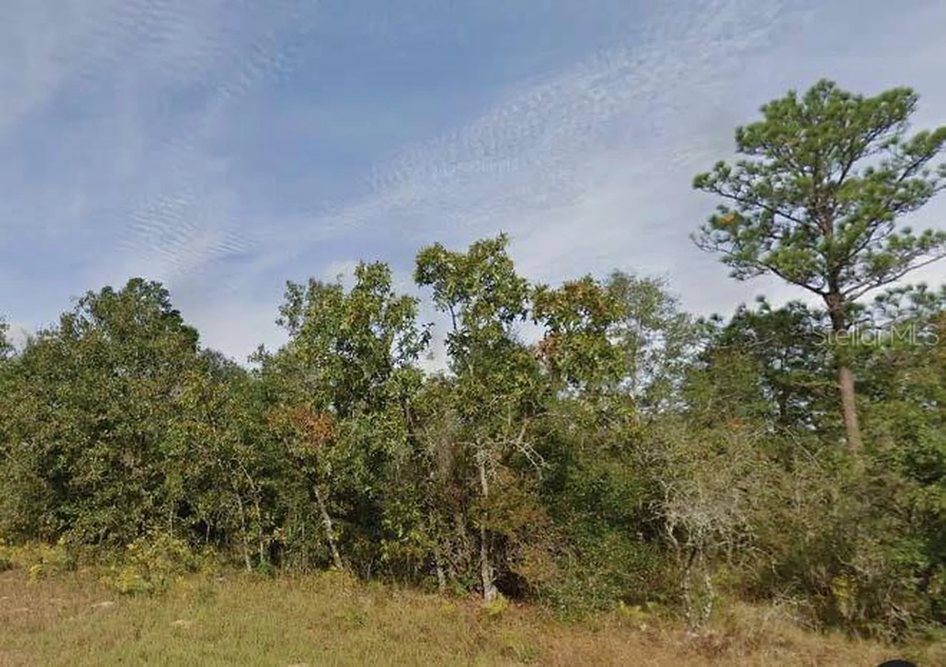 Melshire Drive Chipley FL 32428