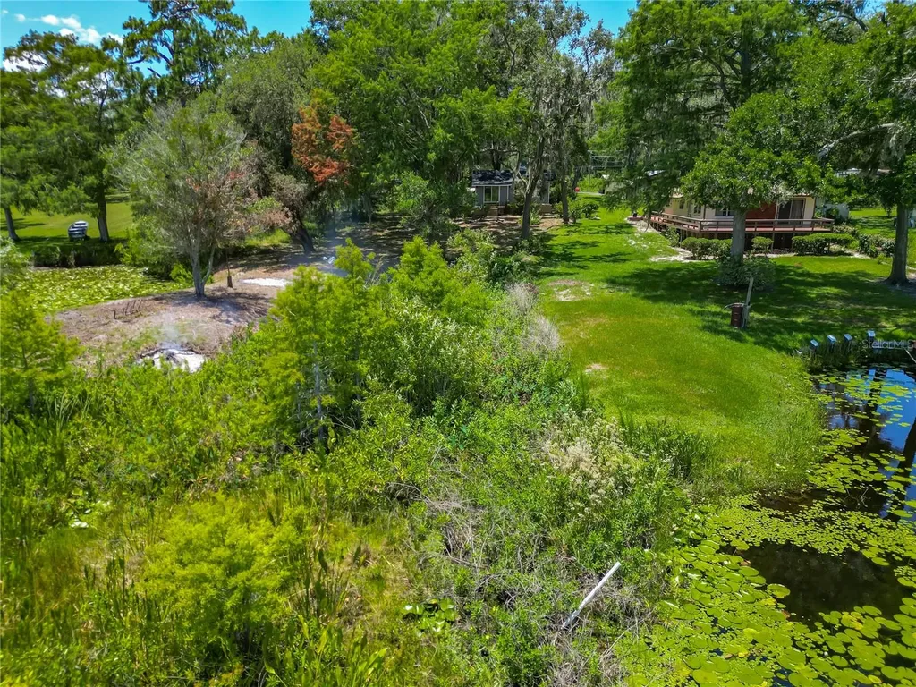 8781 S Lakeshore Drive Floral City FL 34436