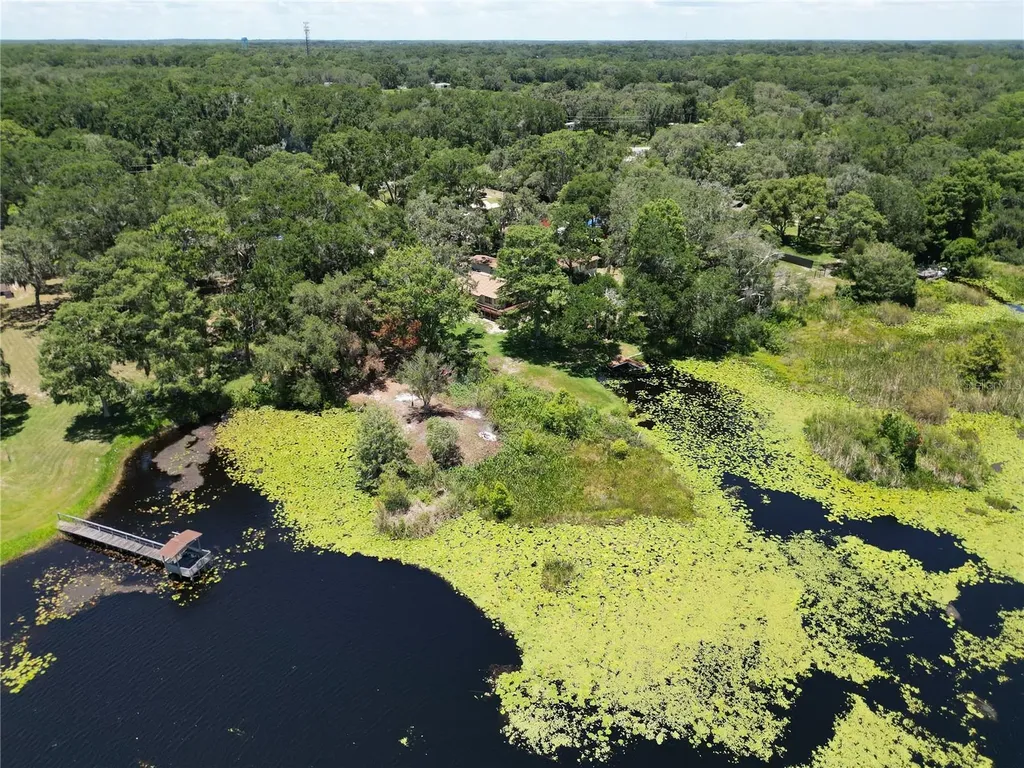 8781 S Lakeshore Drive Floral City FL 34436