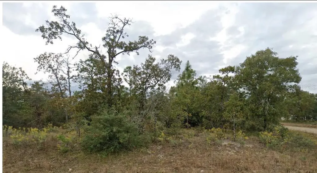 Esmont Avenue Chipley FL 32428